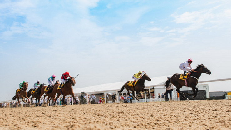 Northumberland Plate Day at Newcastle Racecourse