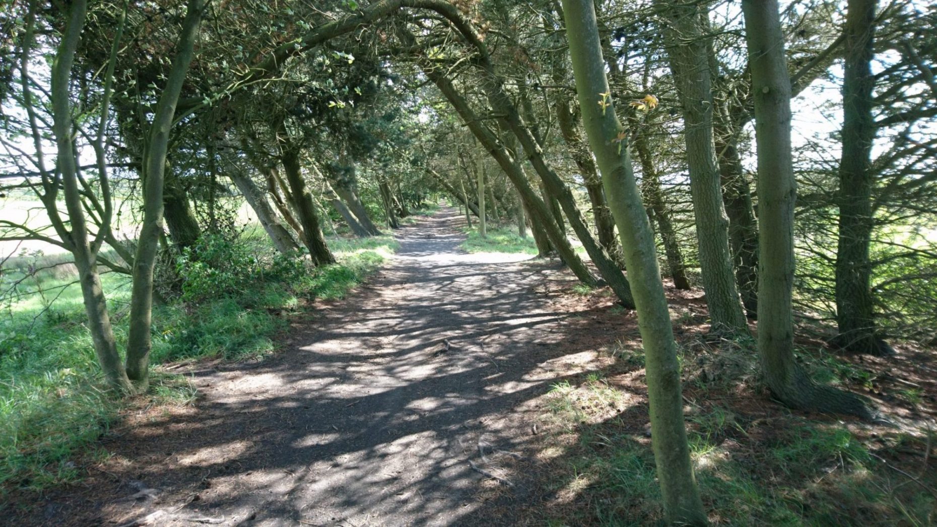 Waggonways and Cycle Routes