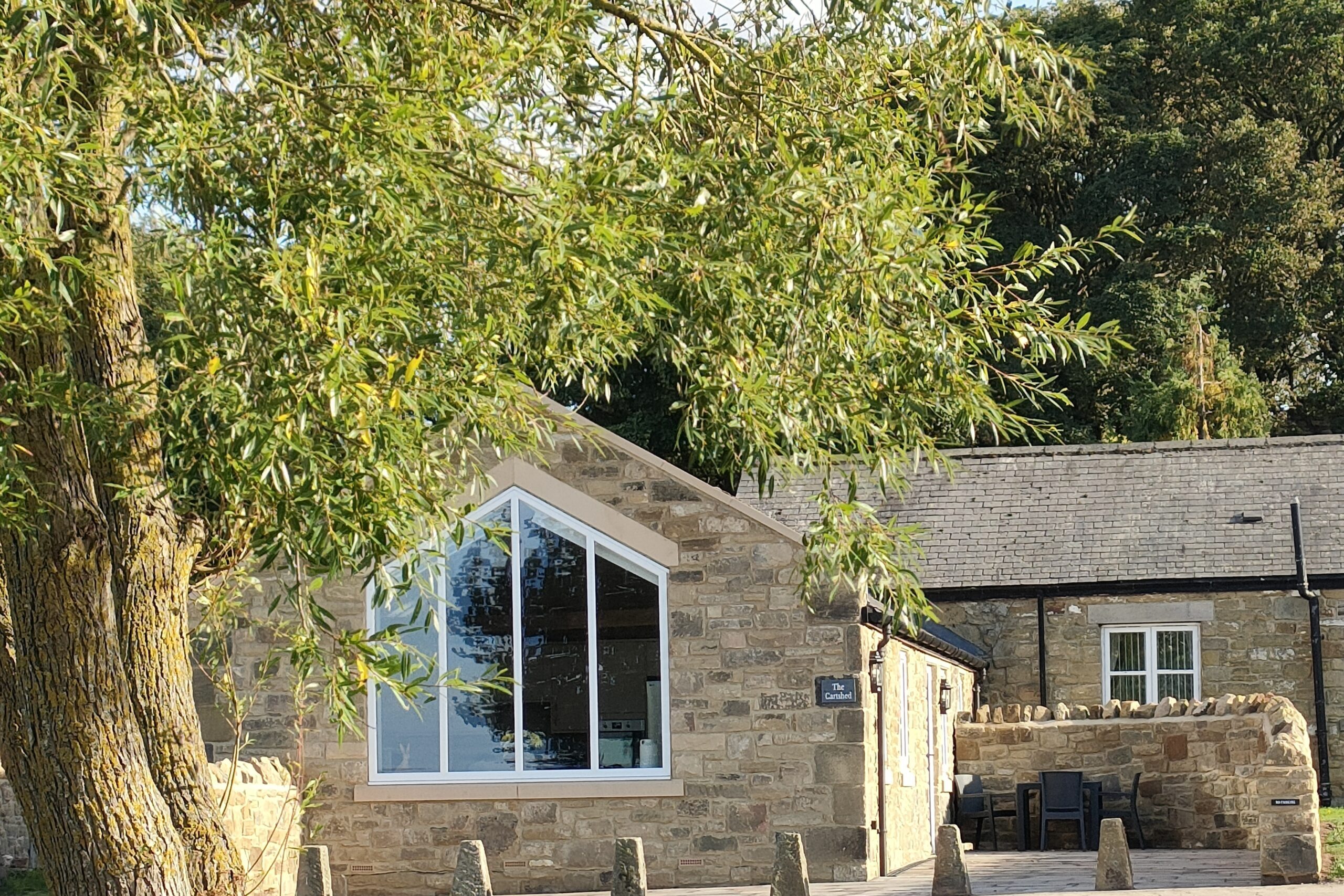 Read more about the article TripAdvisor Reviews