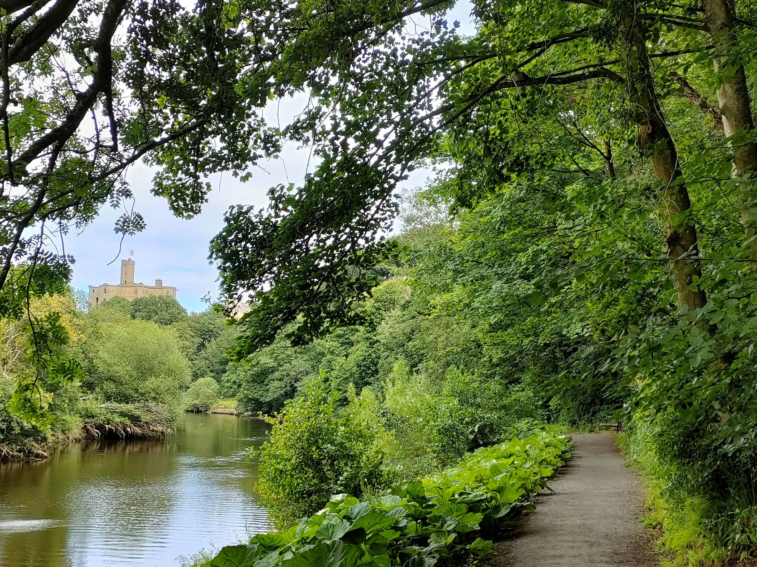 Read more about the article Amble and Warkworth