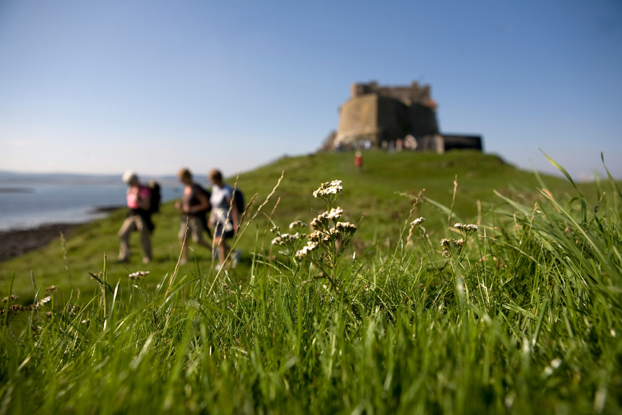 Read more about the article Walking Holidays in the North East: Why Burradon Farm is the ideal location for exploring Northumberland