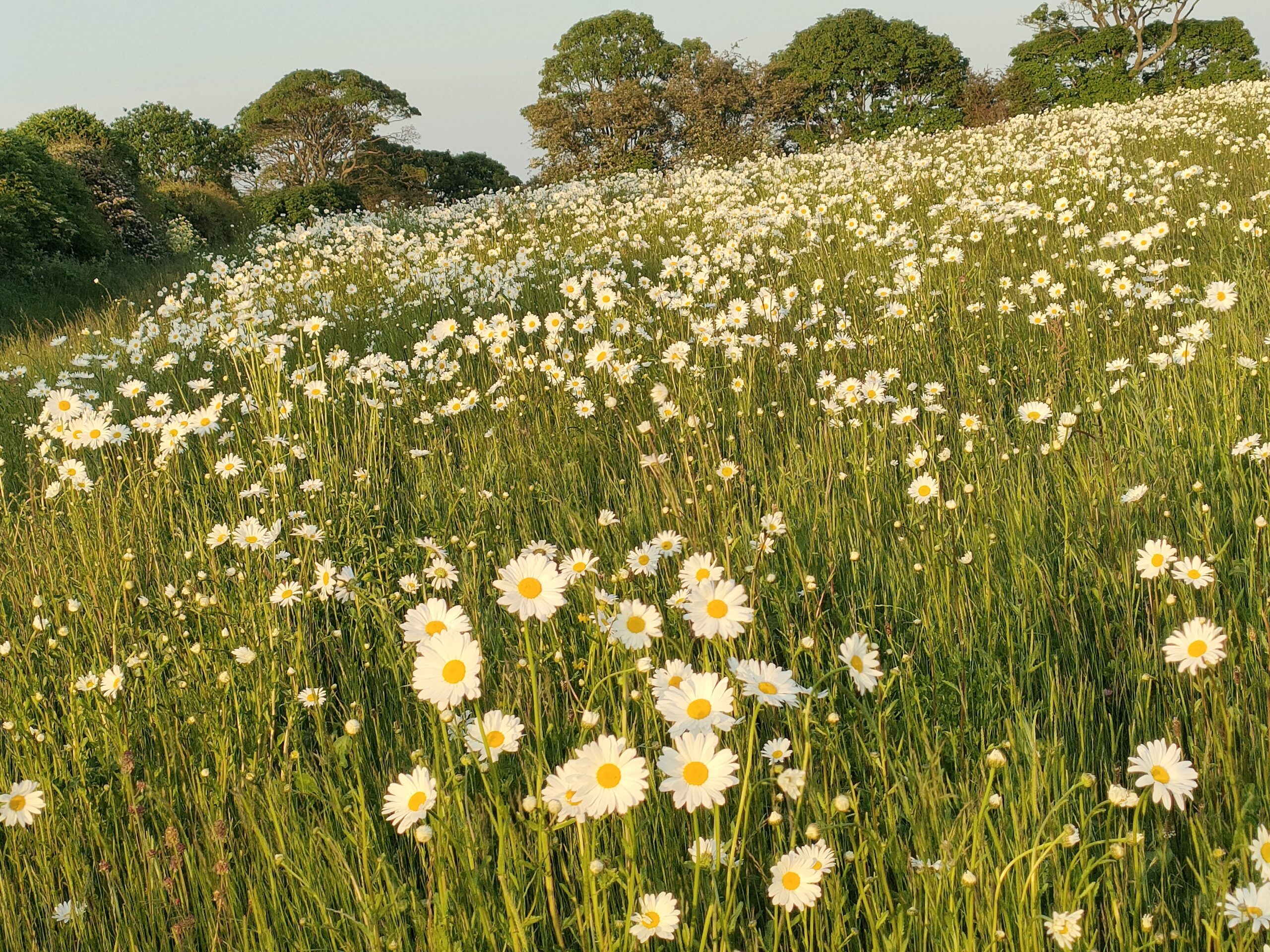 Read more about the article The Best Places to Visit Near Burradon Farm